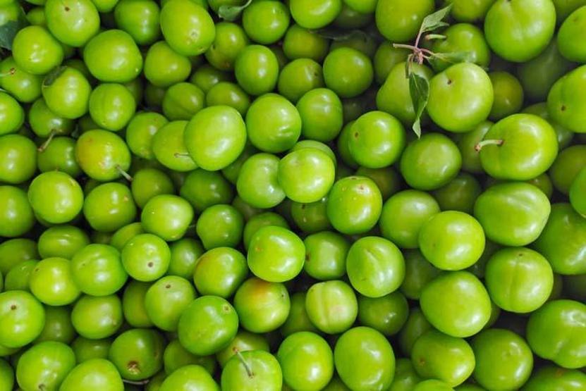 Migren ataklarına karşı koruyucu etkisi ortaya çıktı