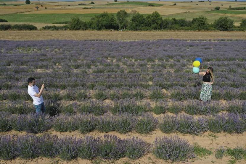 Edirnede lavanta tarlasında fotoğraf etkinliği