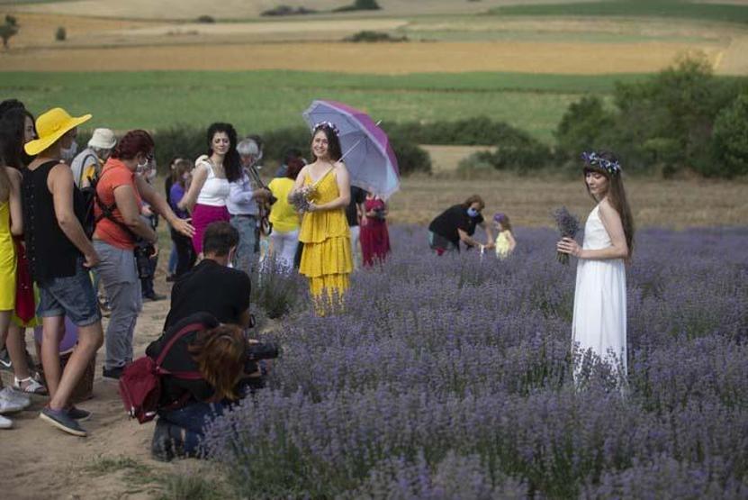 Edirnede lavanta tarlasında fotoğraf etkinliği