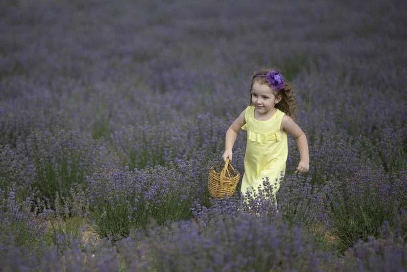 Edirnede lavanta tarlasında fotoğraf etkinliği