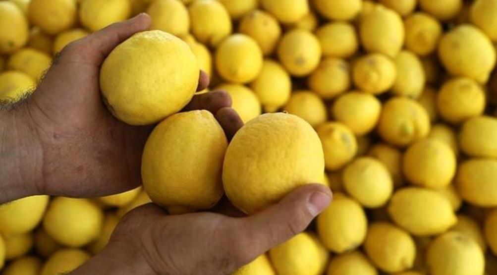 Limonun bir yararı daha ortaya çıktı