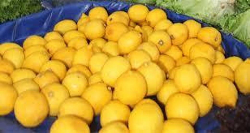 Limonun bir yararı daha ortaya çıktı