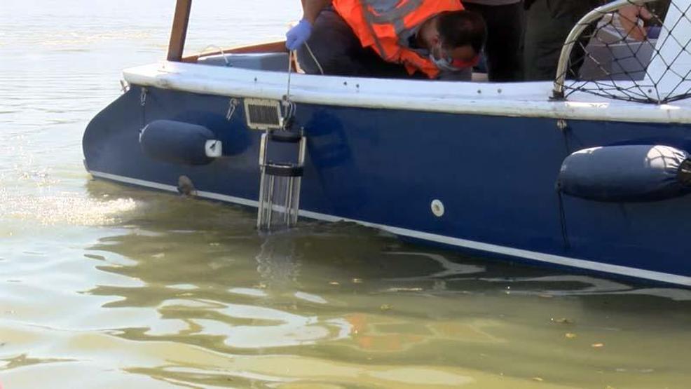 Çevre ve Şehircilik Bakanlığı ekipleri Küçükçekmece Gölünde inceleme yaptı