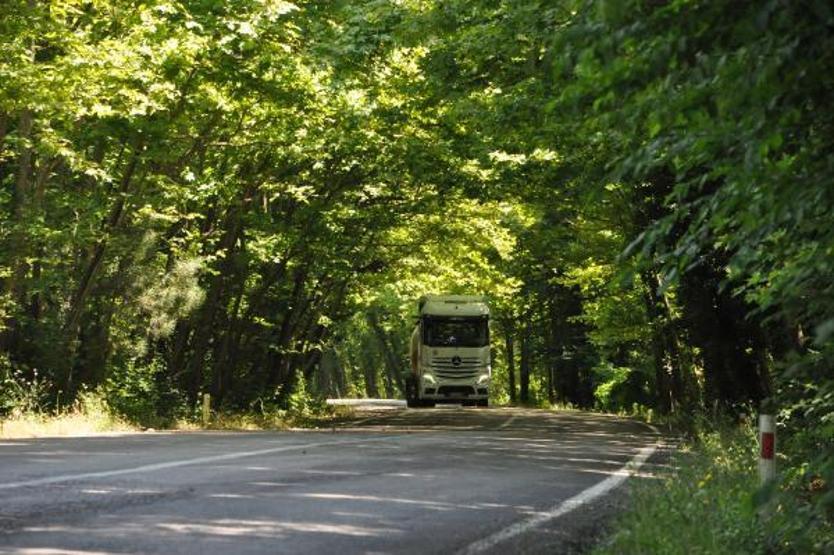 Ağaçların tünel oluşturduğu yol görsel şölen sunuyor