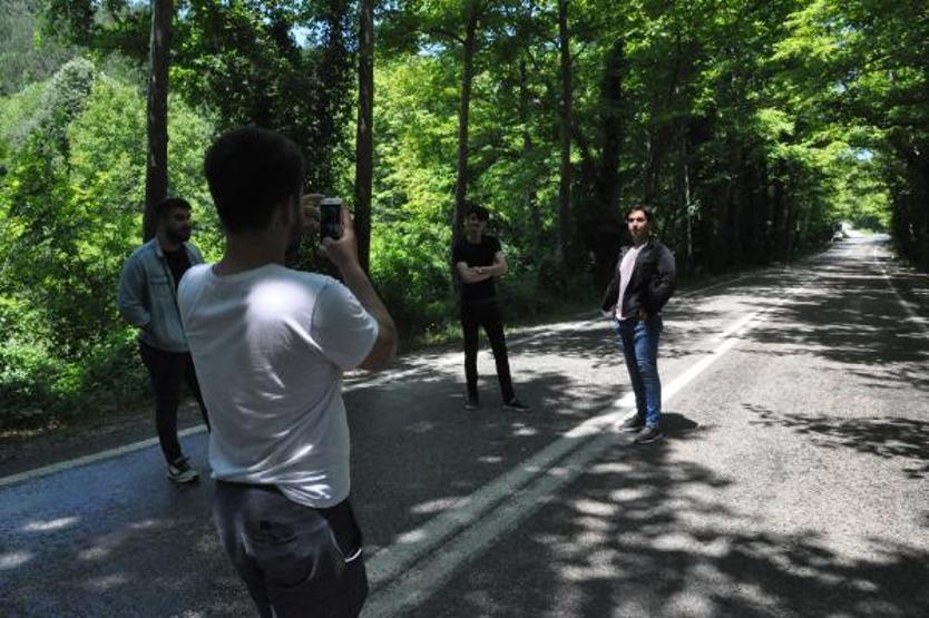 Ağaçların tünel oluşturduğu yol görsel şölen sunuyor