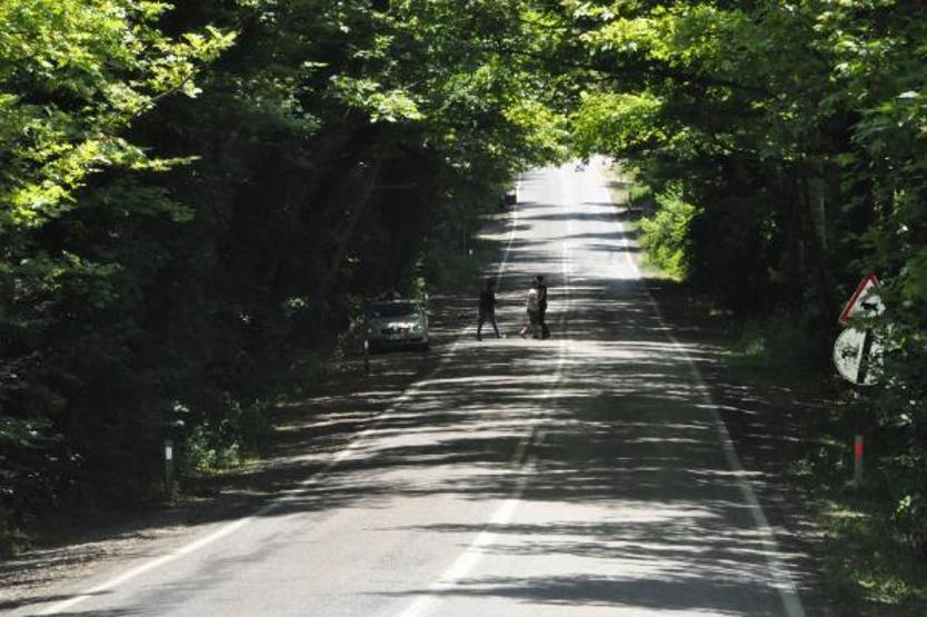 Ağaçların tünel oluşturduğu yol görsel şölen sunuyor