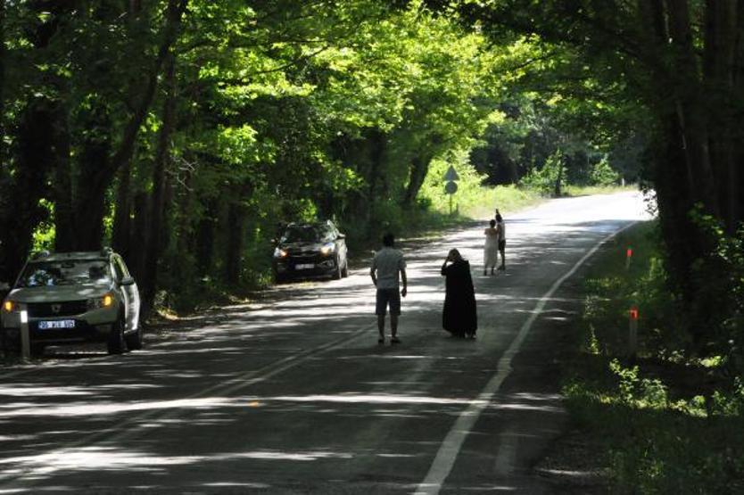 Ağaçların tünel oluşturduğu yol görsel şölen sunuyor