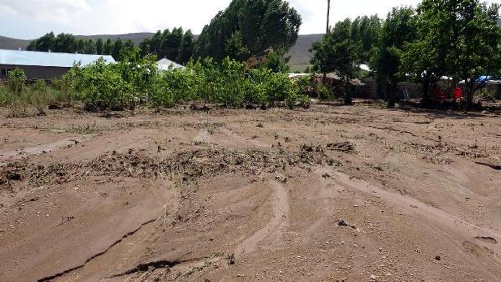 74 koyunu sele kapılarak ölen Yıldız: Destek bekliyorum