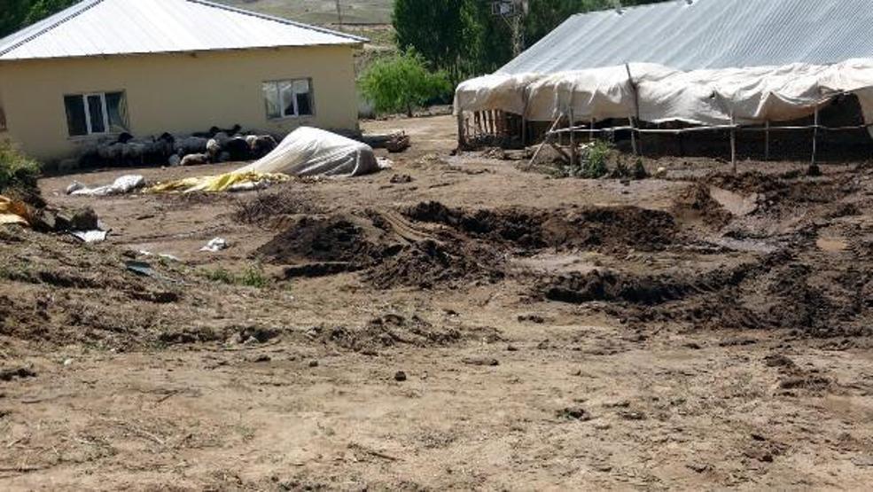74 koyunu sele kapılarak ölen Yıldız: Destek bekliyorum