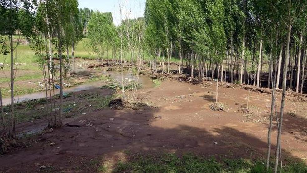74 koyunu sele kapılarak ölen Yıldız: Destek bekliyorum