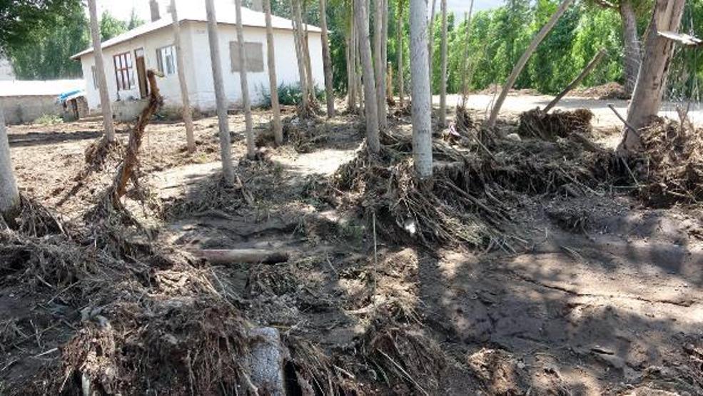 74 koyunu sele kapılarak ölen Yıldız: Destek bekliyorum