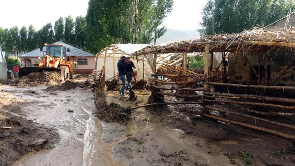 74 koyunu sele kapılarak ölen Yıldız: Destek bekliyorum