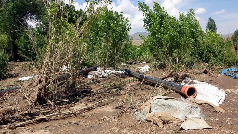 74 koyunu sele kapılarak ölen Yıldız: Destek bekliyorum
