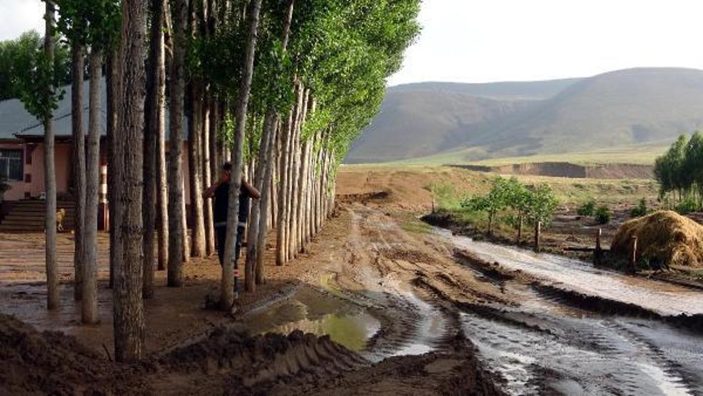 74 koyunu sele kapılarak ölen Yıldız: Destek bekliyorum