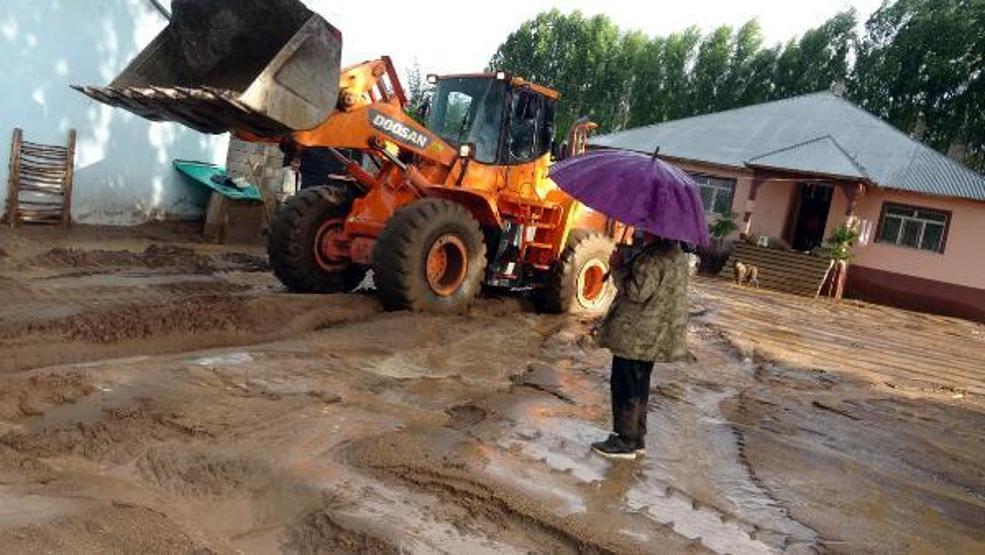 74 koyunu sele kapılarak ölen Yıldız: Destek bekliyorum