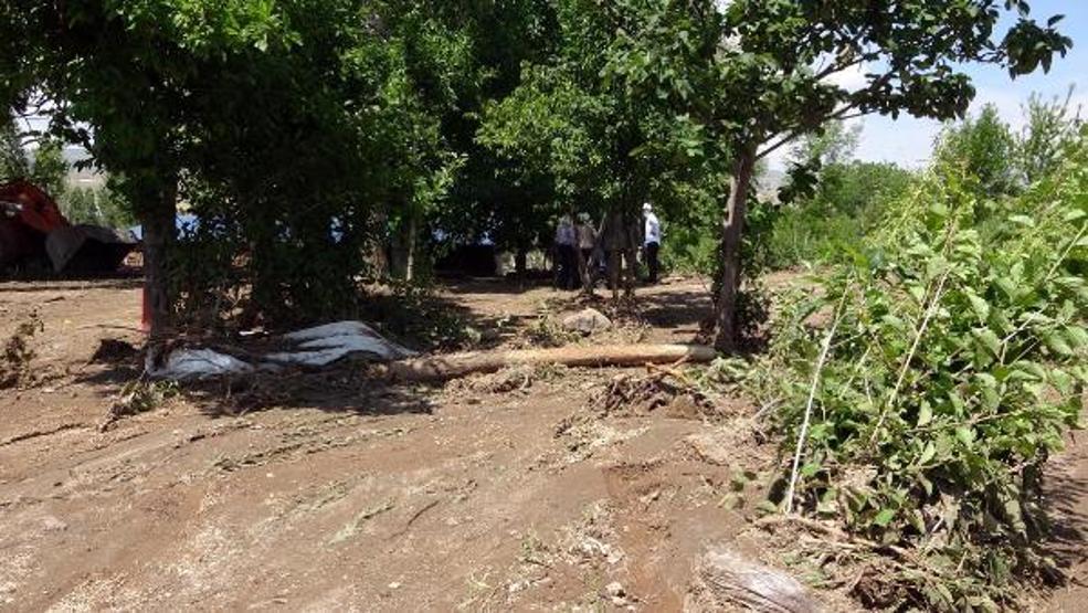 74 koyunu sele kapılarak ölen Yıldız: Destek bekliyorum