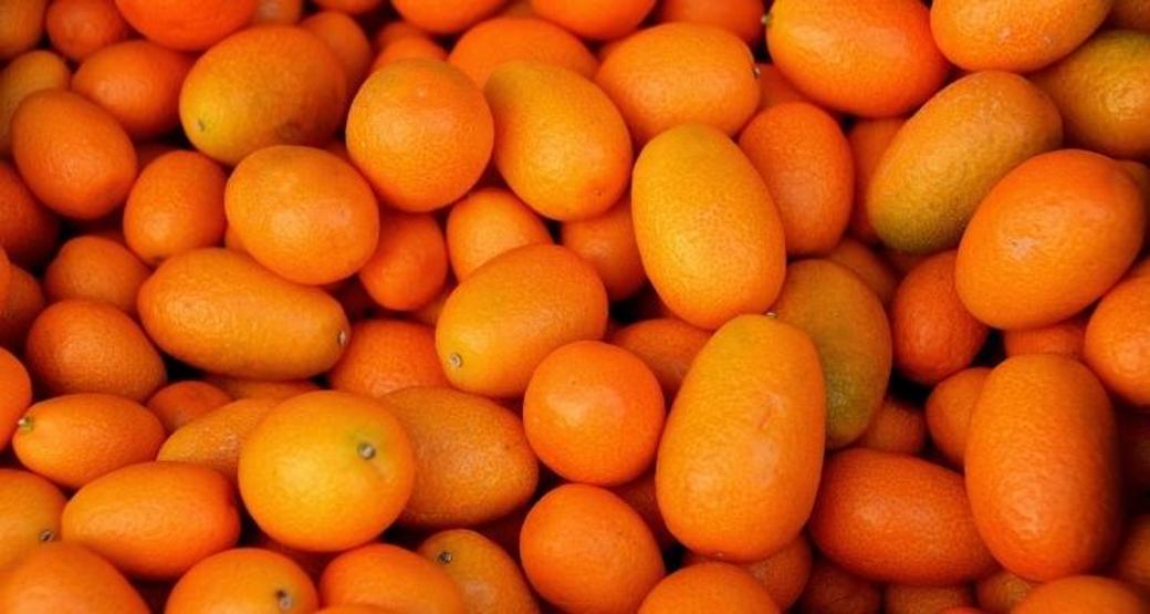 Hücreleri tamamen yeniliyor Hastalıklara kalkan oluyor