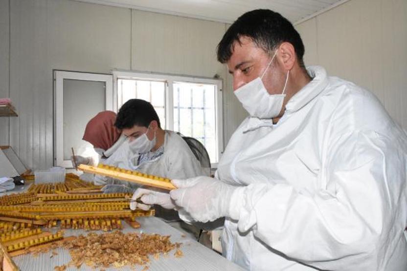 Arı sütünün kilosu 7 bin TLden alıcı buluyor