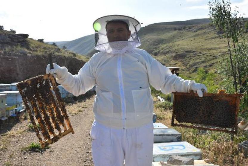 Arı sütünün kilosu 7 bin TLden alıcı buluyor