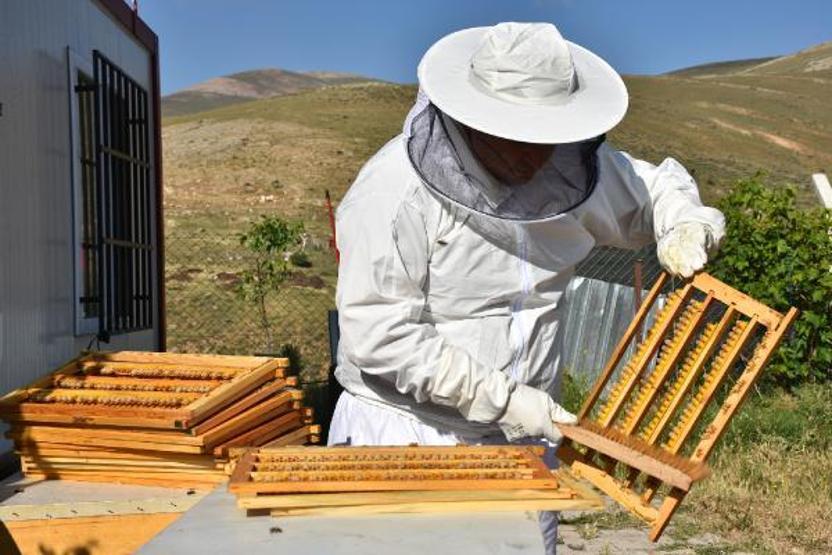 Arı sütünün kilosu 7 bin TLden alıcı buluyor