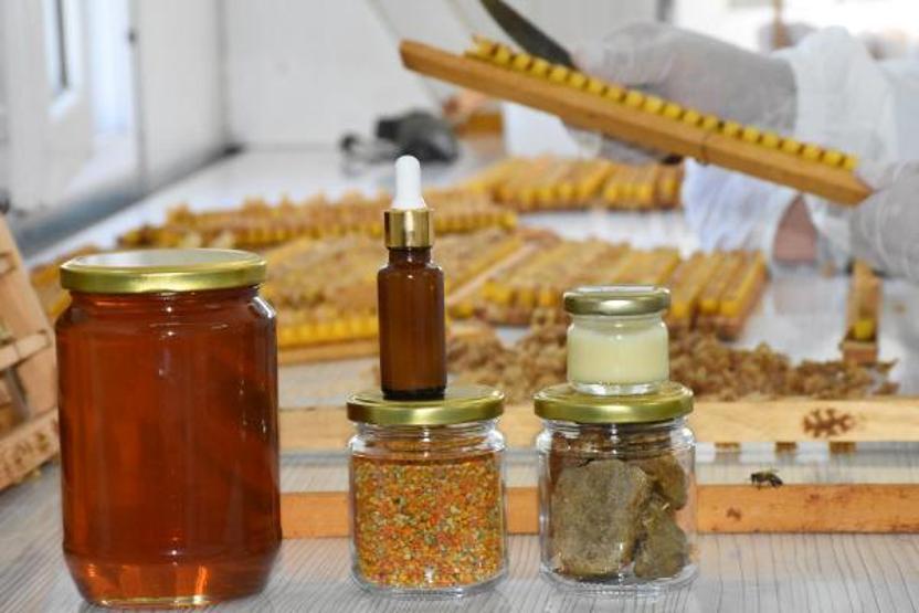 Arı sütünün kilosu 7 bin TLden alıcı buluyor