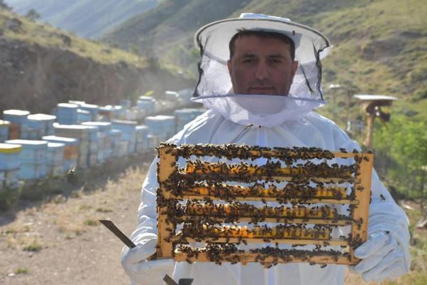 Arı sütünün kilosu 7 bin TLden alıcı buluyor