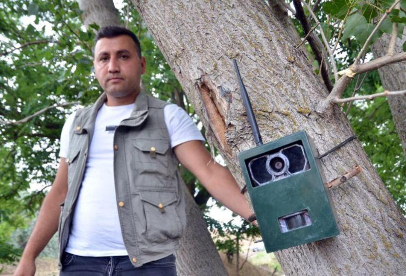 Son dakika... Çorumda aslan için yerleştirilen fotokapanlara çakal ve tilkiler takıldı