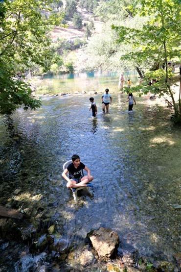 Sıcaktan bunalan oraya koşuyor