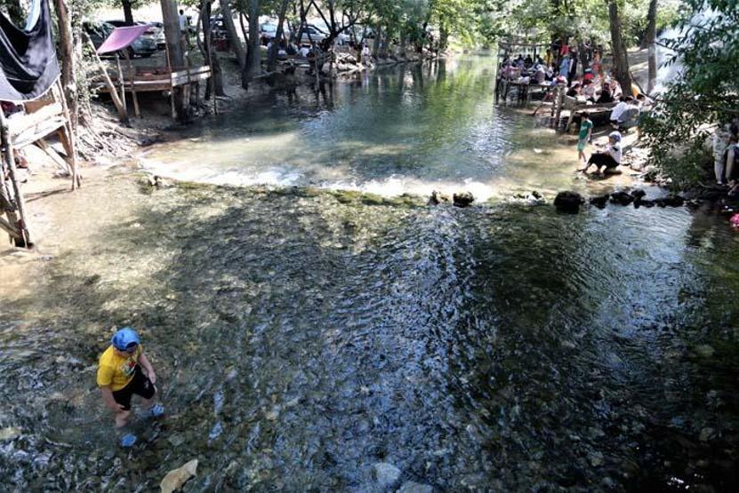 Sıcaktan bunalan oraya koşuyor