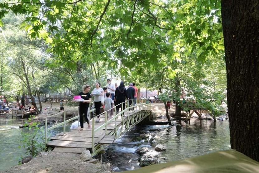 Sıcaktan bunalan oraya koşuyor