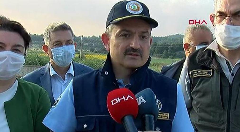 Son dakika haberi: Bakan Pakdemirliden Geliboludaki orman yangınıyla ilgili açıklama