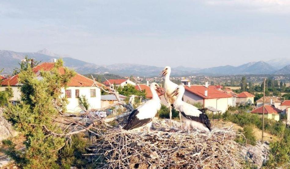Leylekler Vadisi’ne ziyaretçi ilgisi artıyor