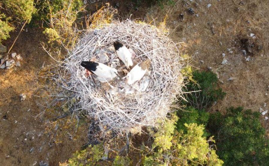 Leylekler Vadisi’ne ziyaretçi ilgisi artıyor