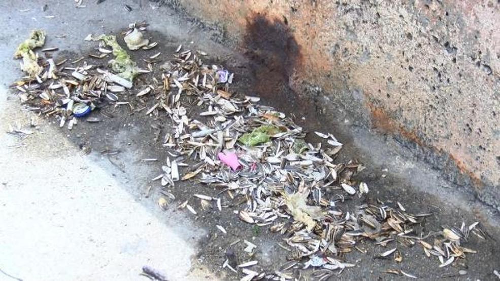 Son Dakika... Üsküdarda sahil boyunca çekirdek yiyene 61 lira ceza