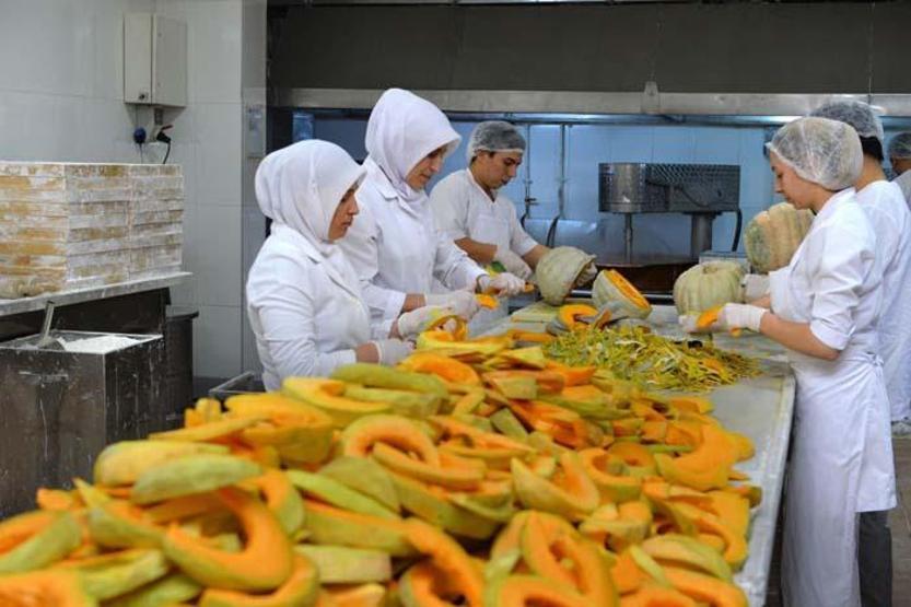 Meşhur Adapazarı kabağı coğrafi işaret aldı