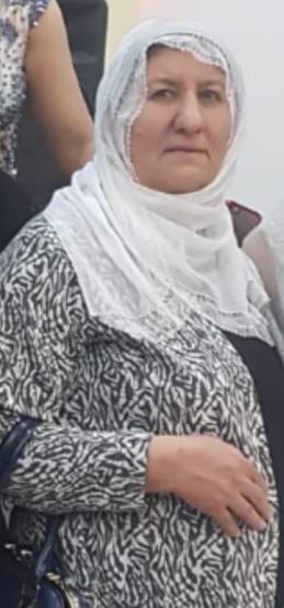 Üvey kardeşler dehşet saçtı Anne hayatını kaybetti