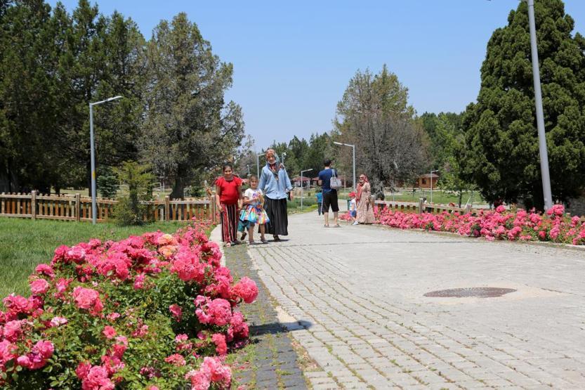 Doğa turizminin gözdesi Denizli yaylaları