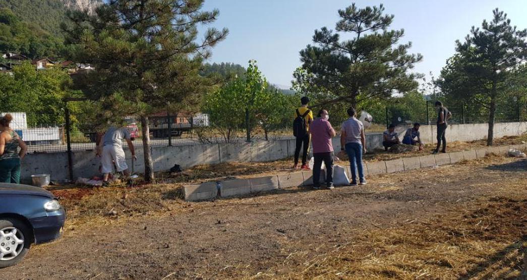 Son dakika... Kurbanlıklar bu bayram da firar etti