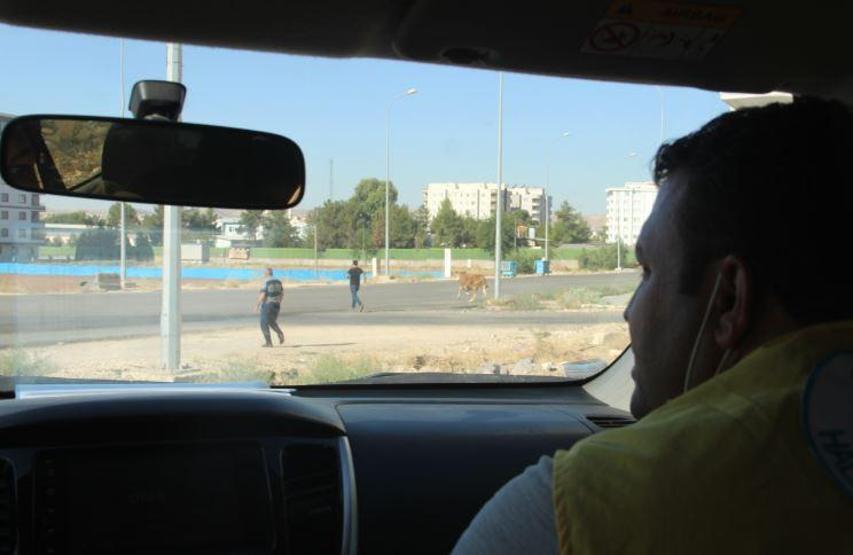 Son dakika... Kurbanlıklar bu bayram da firar etti