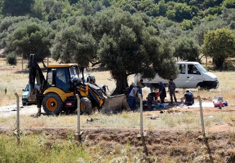 Son dakika... Kamyonet kasasında kaçak kurban kesimi