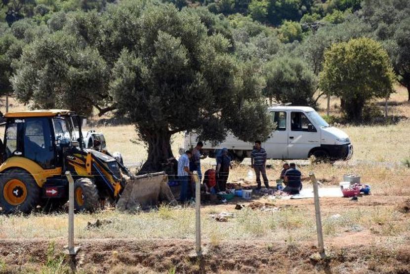 Son dakika... Kamyonet kasasında kaçak kurban kesimi