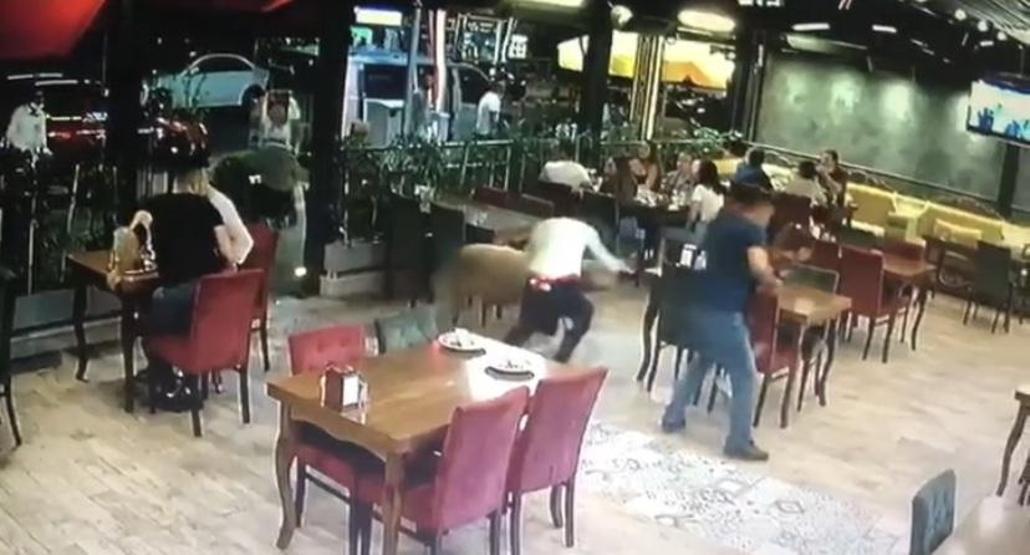 Kurbanlık koç restorana daldı