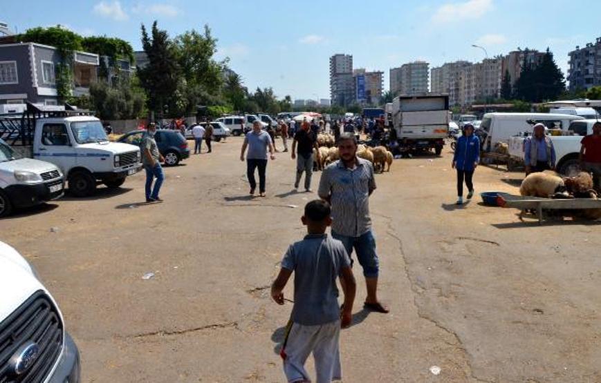 Son dakika... Kurbanlıkları satamadım, bu yıl da evde kaldım