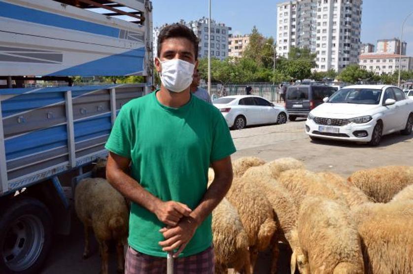 Son dakika... Kurbanlıkları satamadım, bu yıl da evde kaldım