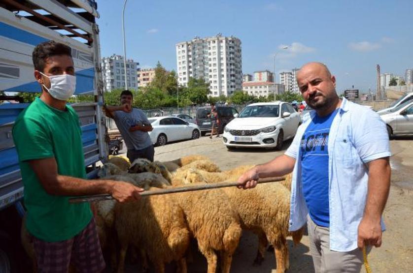 Son dakika... Kurbanlıkları satamadım, bu yıl da evde kaldım