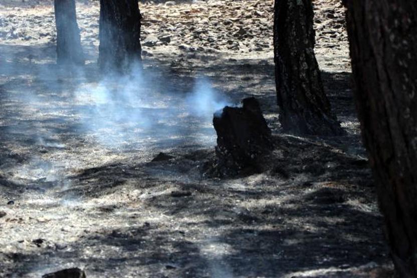 Son dakika... Orman yangınına kaymakam ve vatandaşlar da müdahale etti