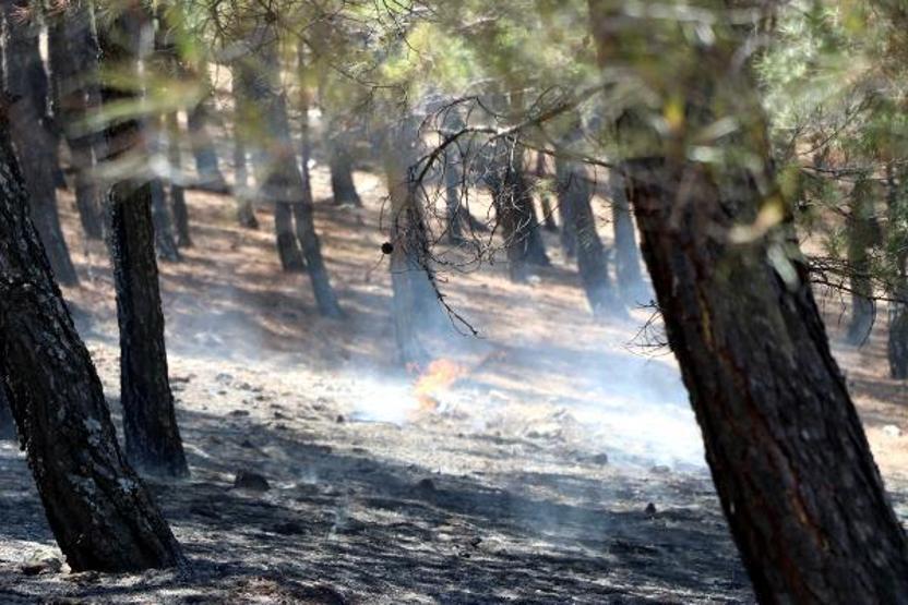 Son dakika... Orman yangınına kaymakam ve vatandaşlar da müdahale etti