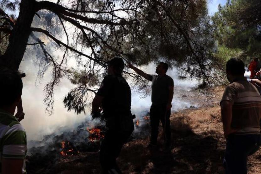 Son dakika... Orman yangınına kaymakam ve vatandaşlar da müdahale etti