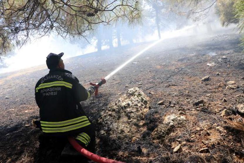 Son dakika... Orman yangınına kaymakam ve vatandaşlar da müdahale etti