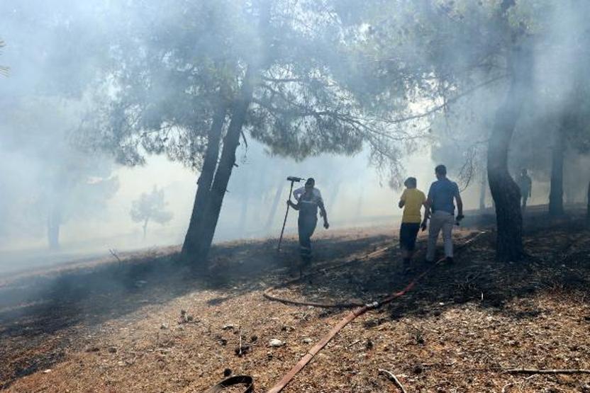 Son dakika... Orman yangınına kaymakam ve vatandaşlar da müdahale etti